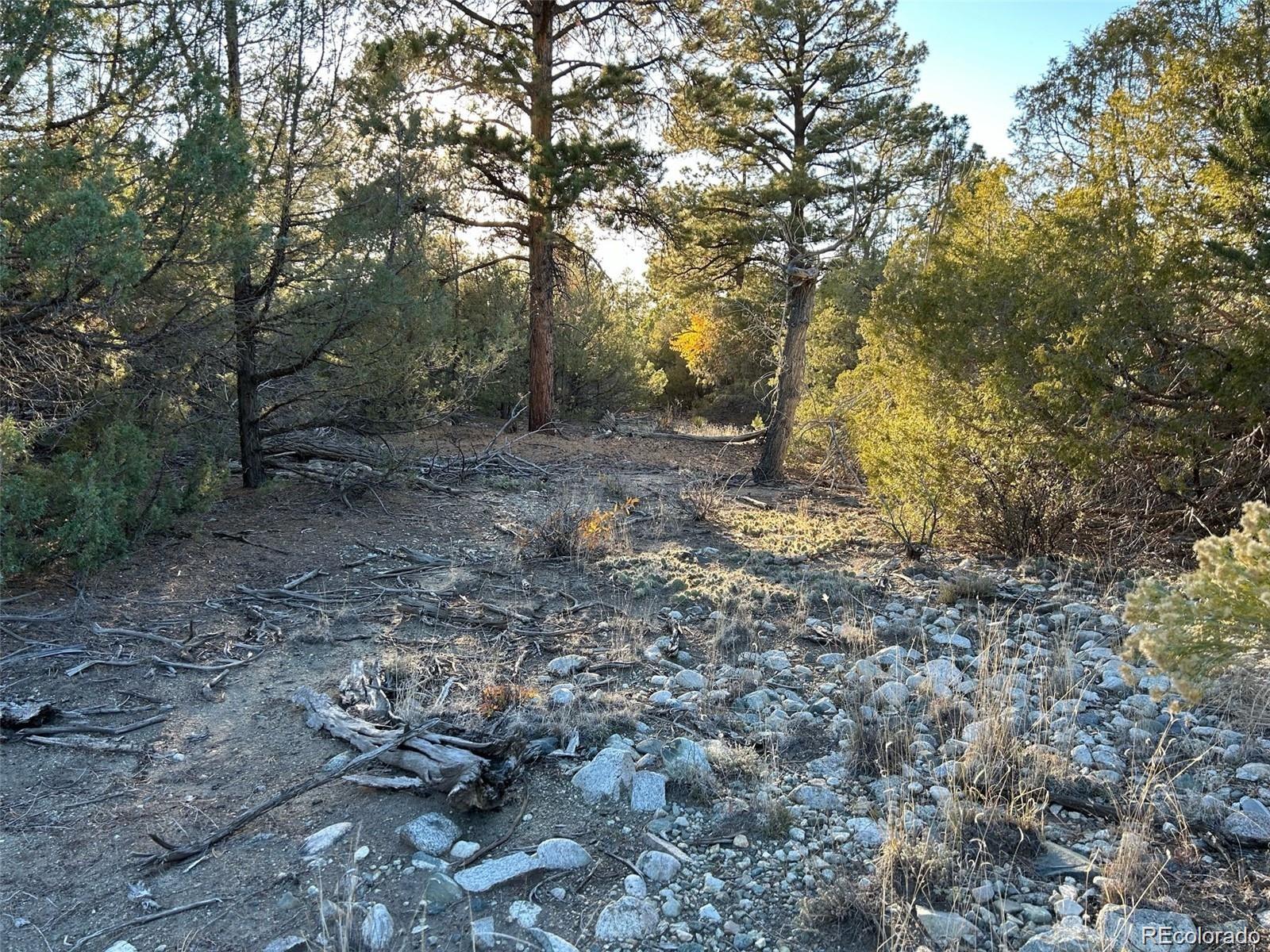 Big Bear Road Mosca CO 81146