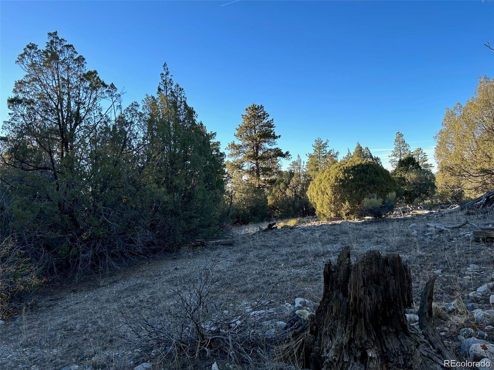 Big Bear Road Mosca CO 81146