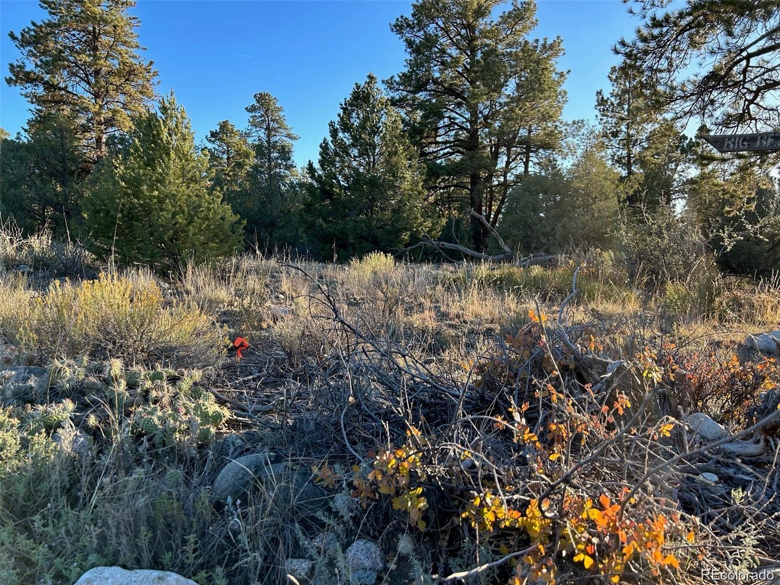 Big Bear Road Mosca CO 81146