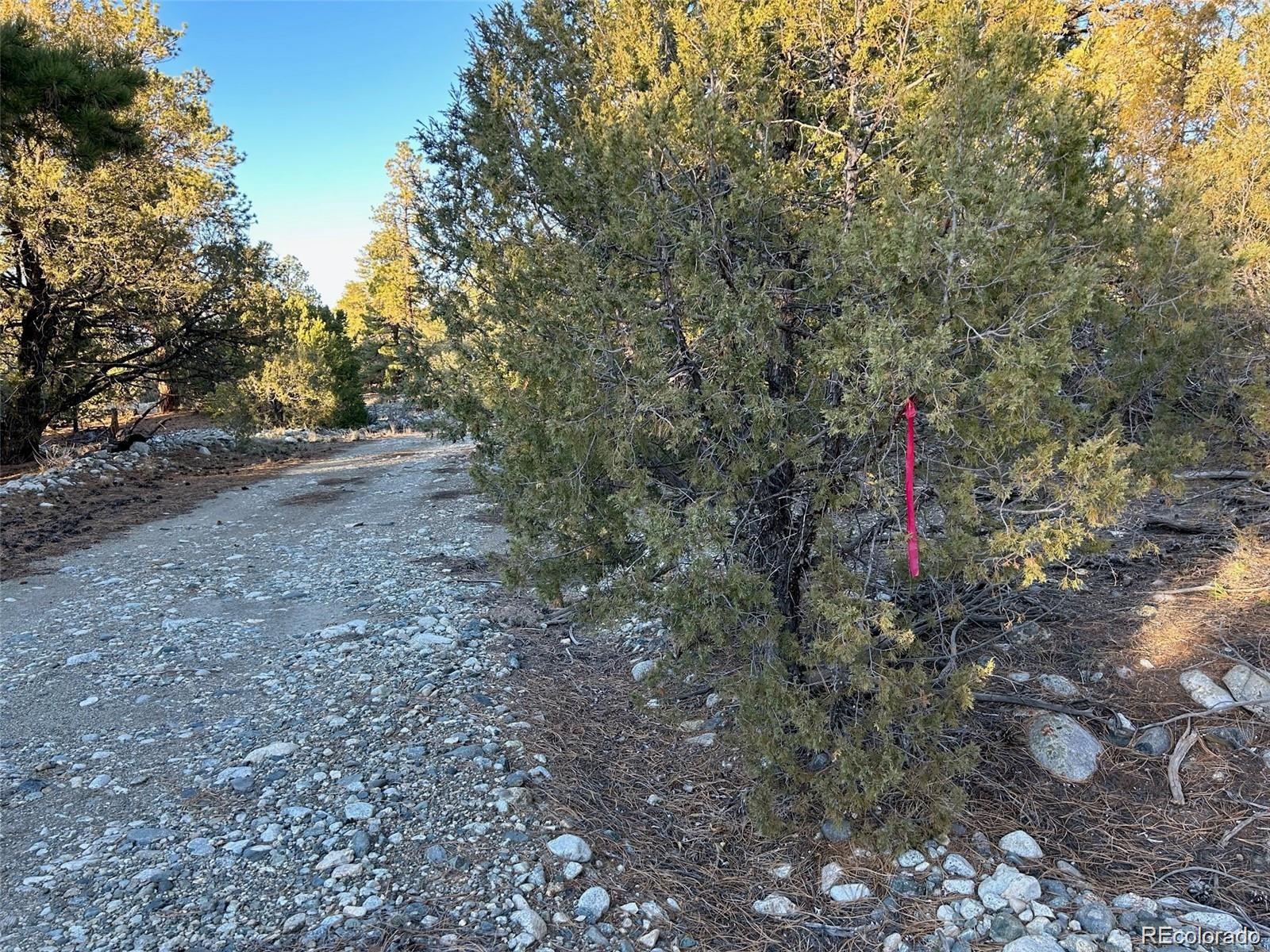 Big Bear Road Mosca CO 81146