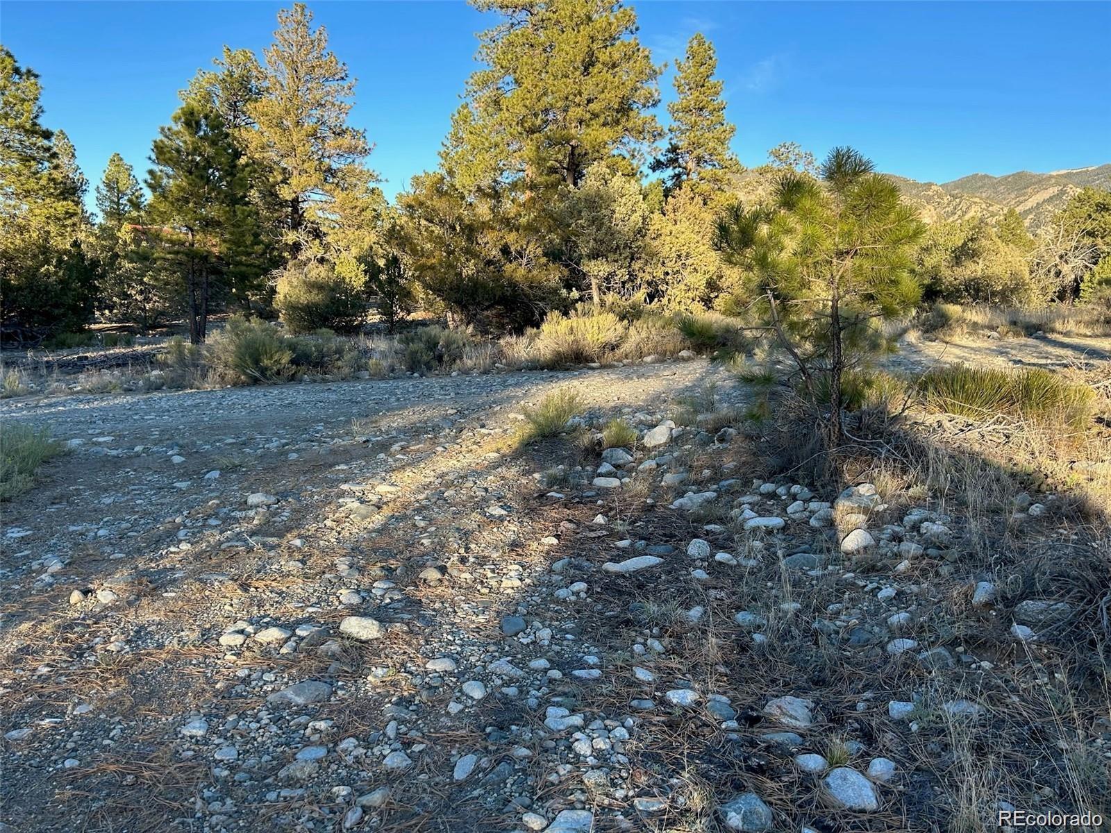 Big Bear Road Mosca CO 81146