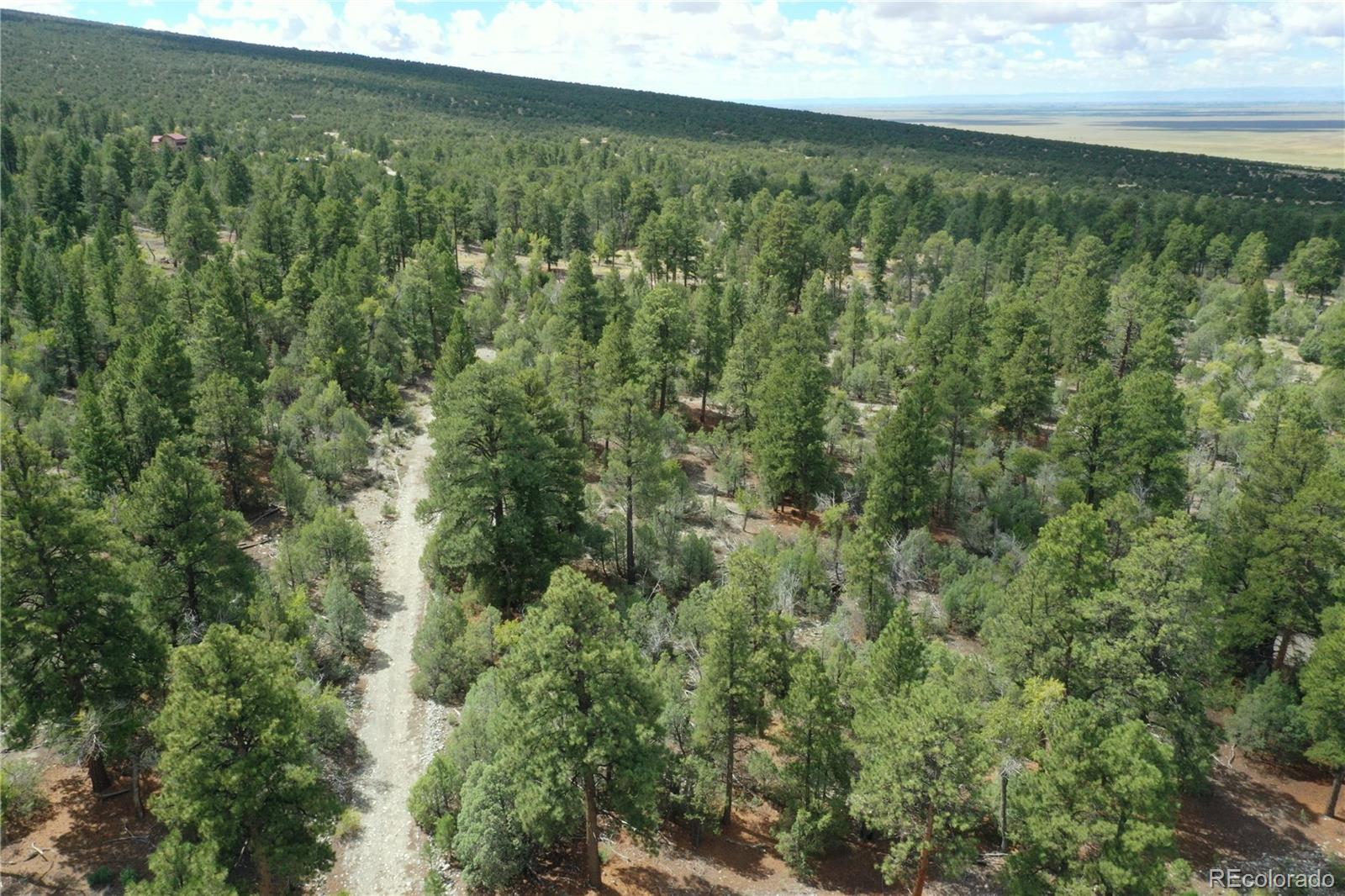 Big Bear Road Mosca CO 81146