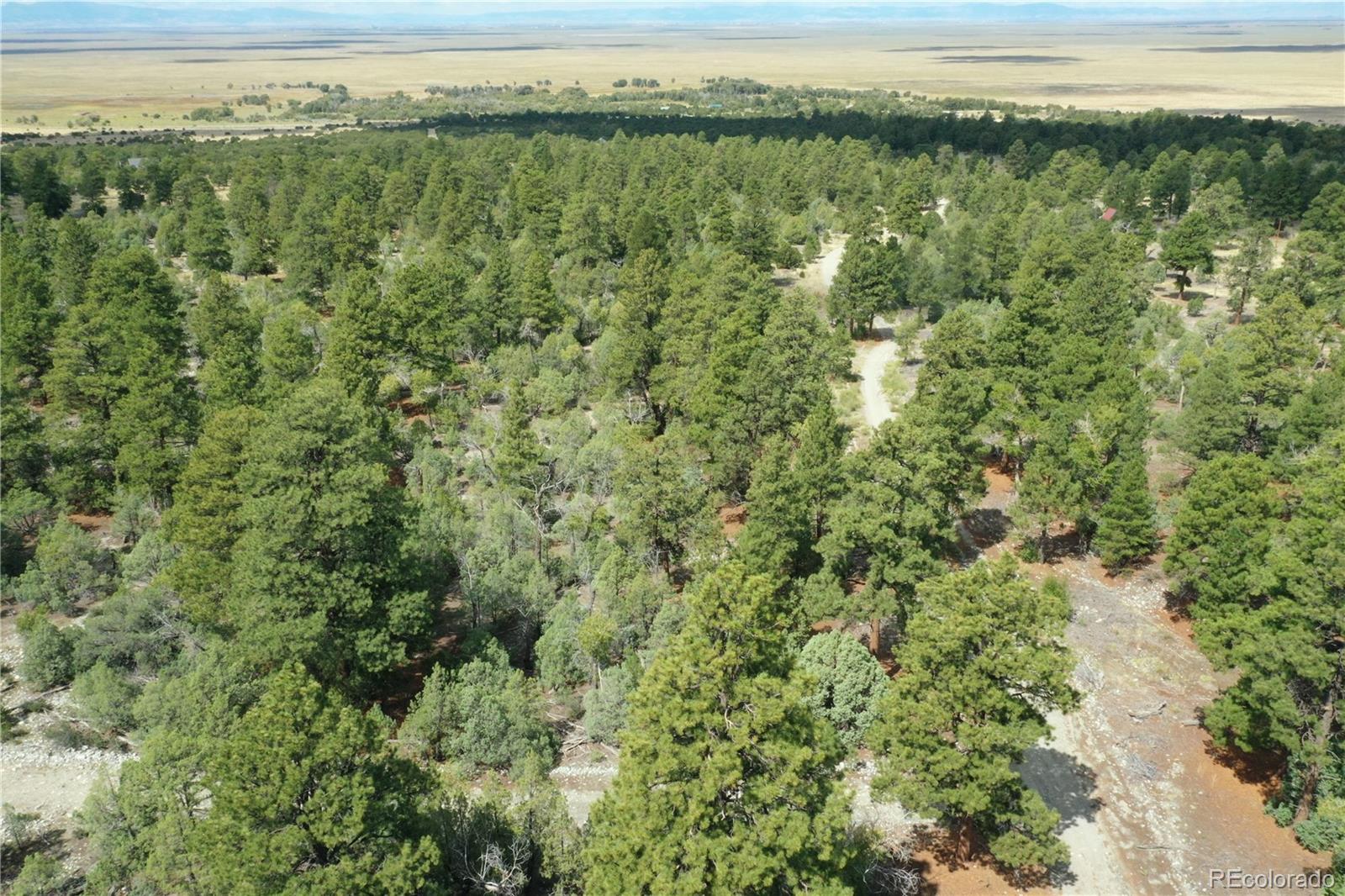 Big Bear Road Mosca CO 81146