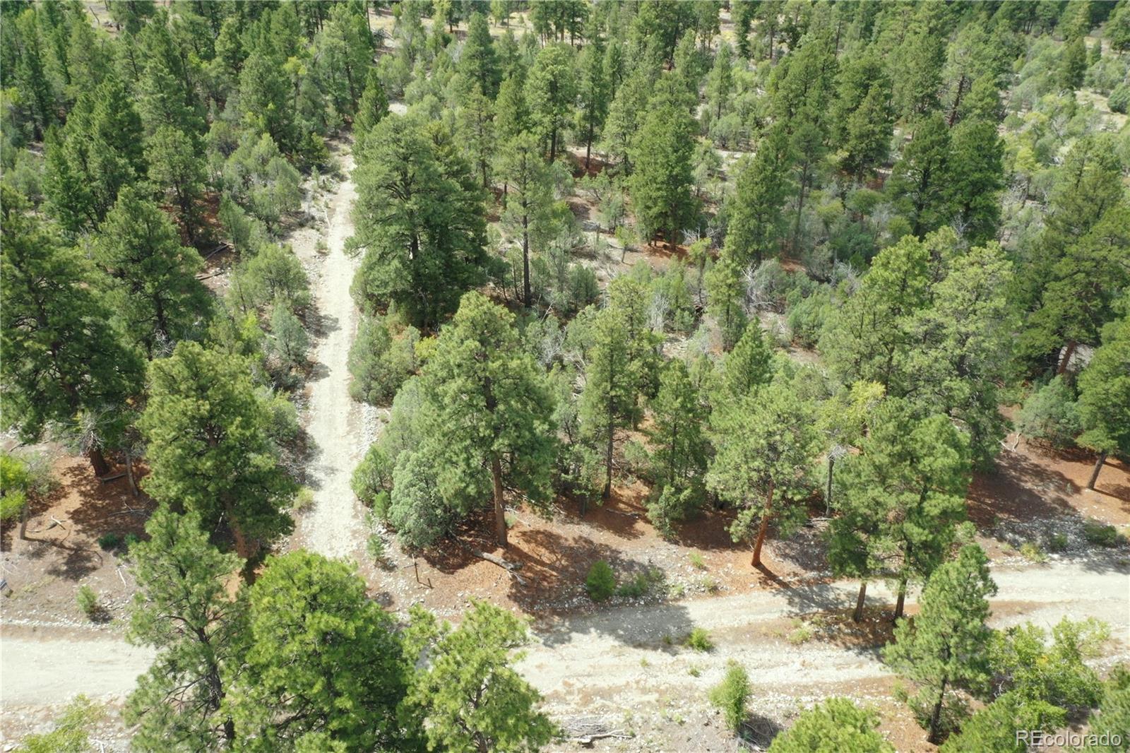 Big Bear Road Mosca CO 81146