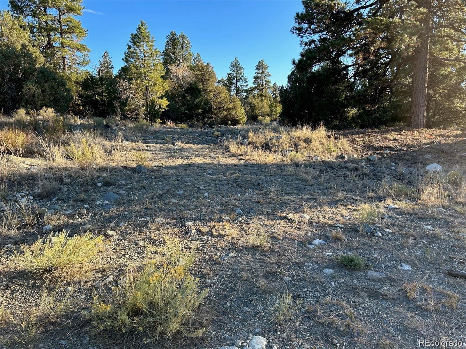 Big Bear Road Mosca CO 81146
