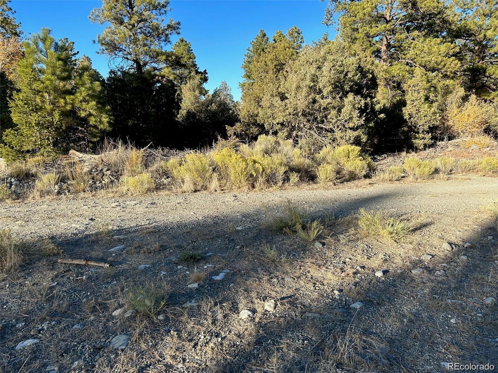Big Bear Road Mosca CO 81146