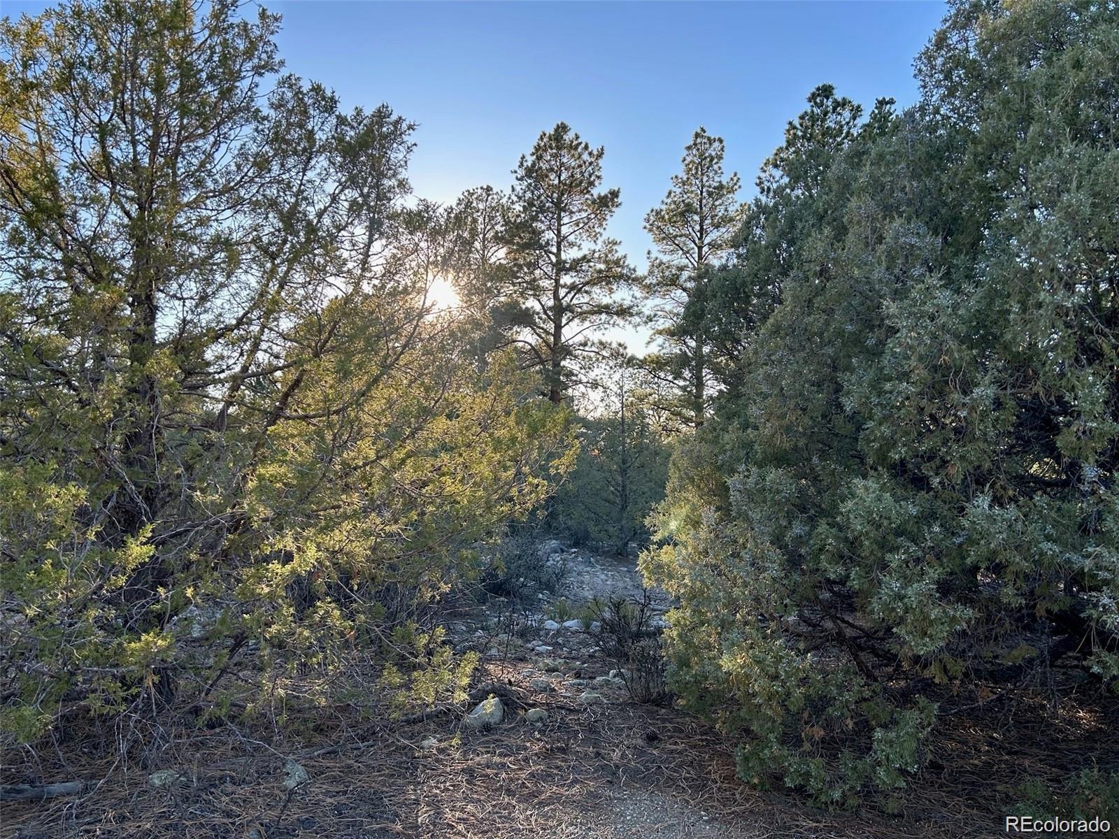 Big Bear Road Mosca CO 81146