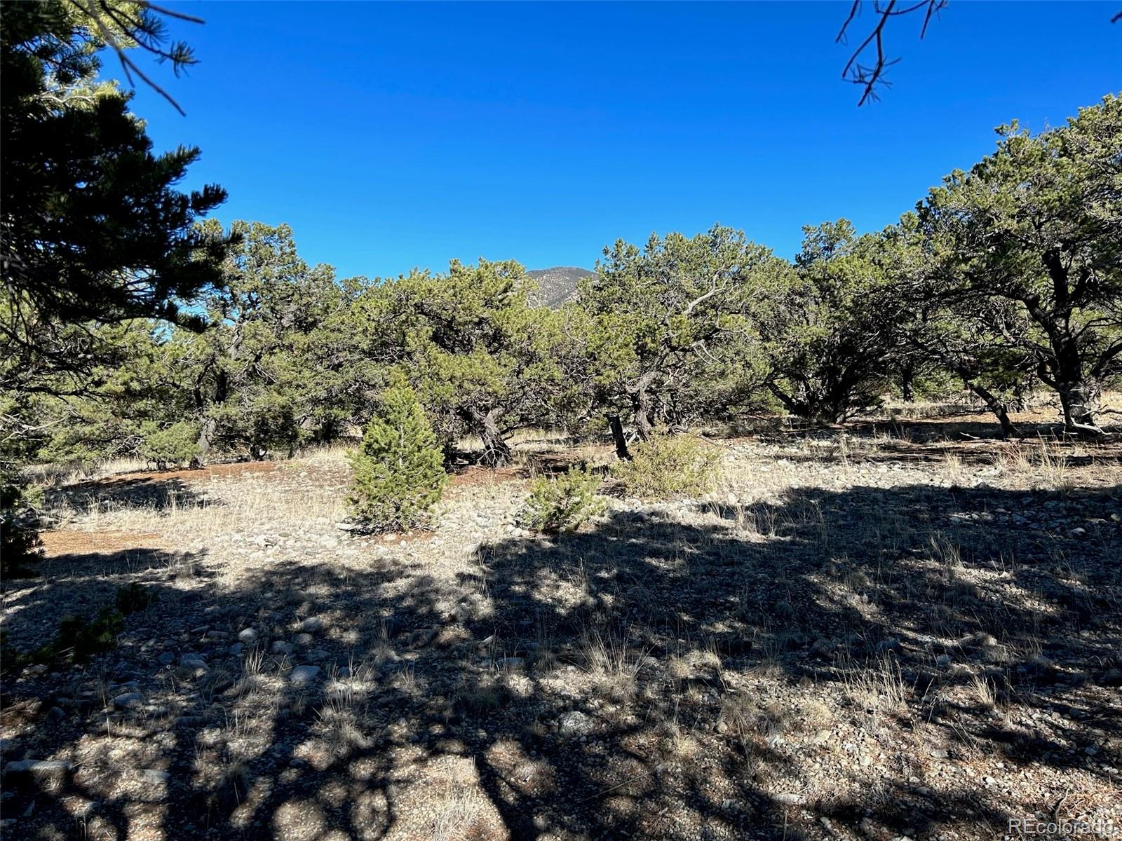 62 Mill Run Alamosa CO 81101