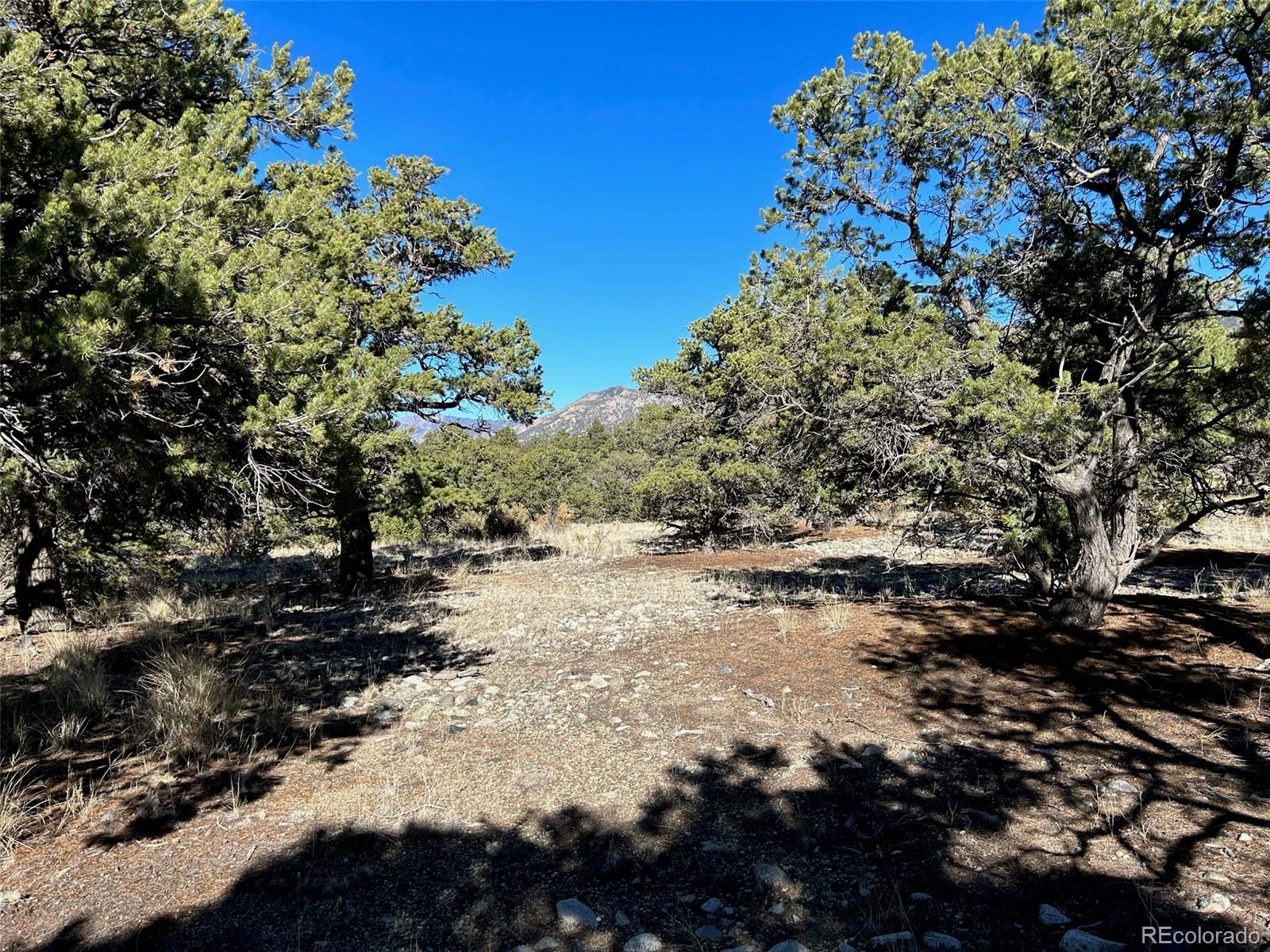 62 Mill Run Alamosa CO 81101