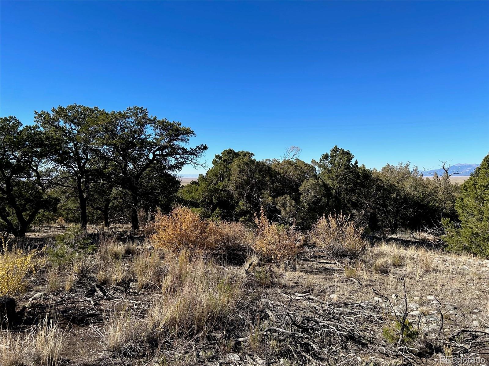 62 Mill Run Alamosa CO 81101