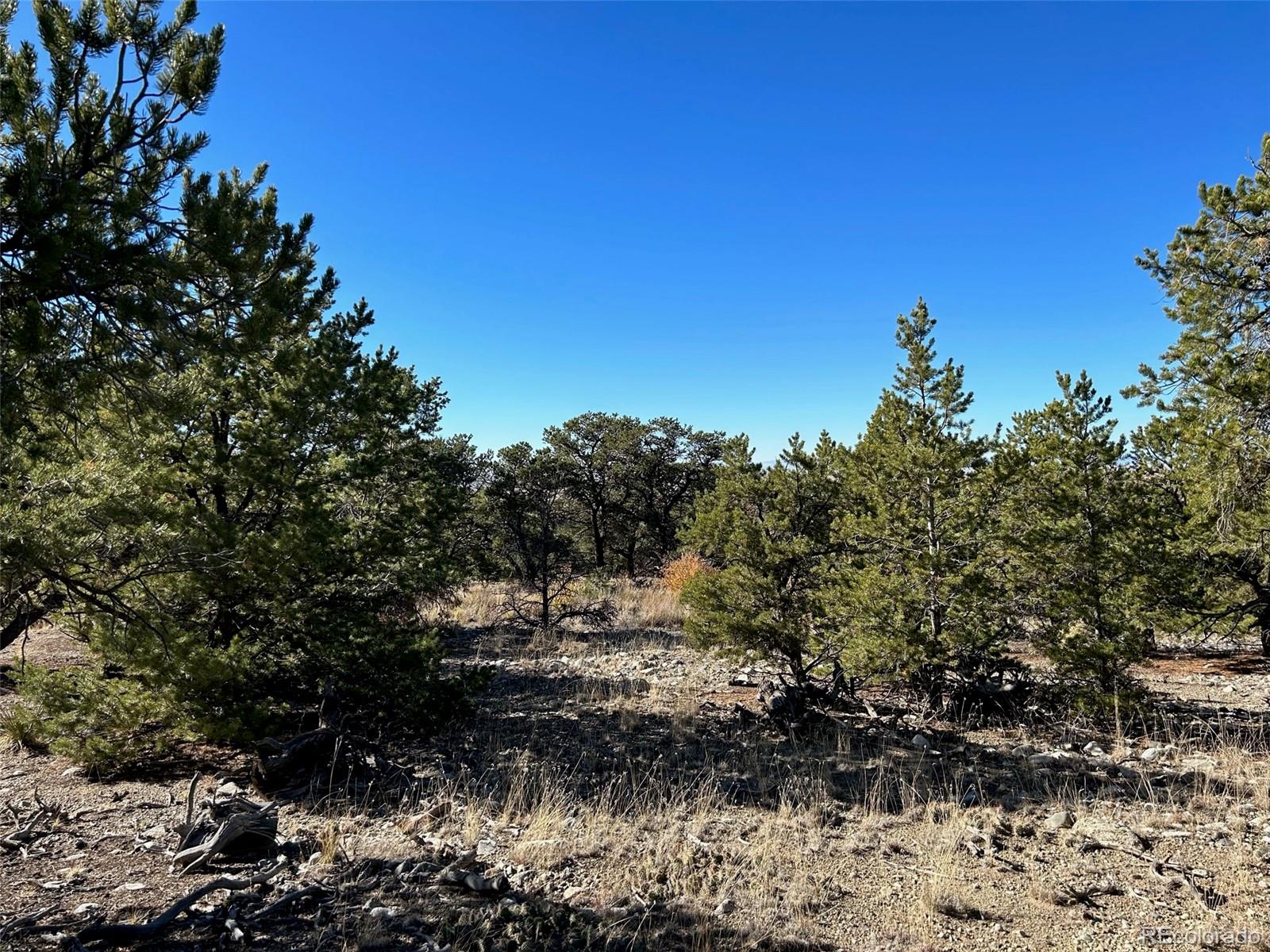 62 Mill Run Alamosa CO 81101