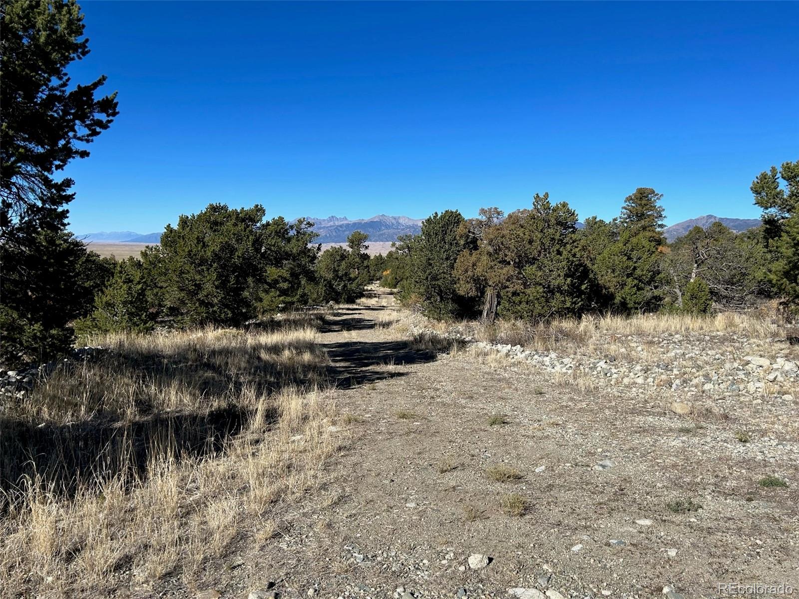 62 Mill Run Alamosa CO 81101
