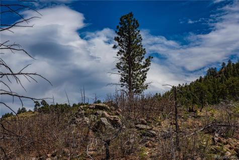 221 Cottonwood Drive Cotopaxi CO 81223