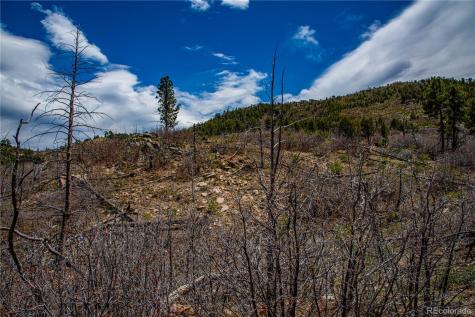 221 Cottonwood Drive Cotopaxi CO 81223