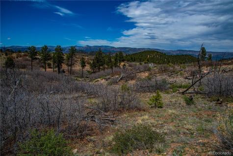 221 Cottonwood Drive Cotopaxi CO 81223