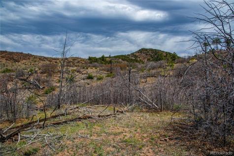 221 Cottonwood Drive Cotopaxi CO 81223