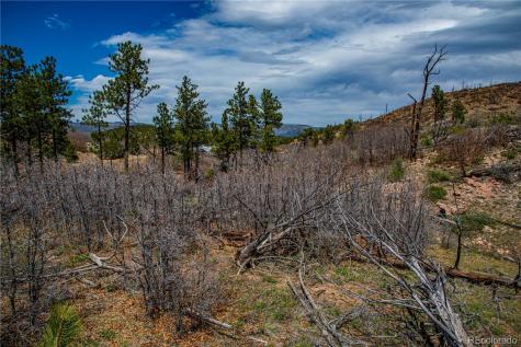 221 Cottonwood Drive Cotopaxi CO 81223