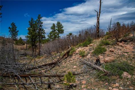 221 Cottonwood Drive Cotopaxi CO 81223