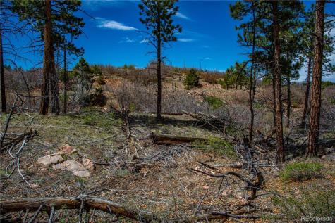 221 Cottonwood Drive Cotopaxi CO 81223