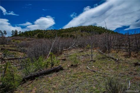 221 Cottonwood Drive Cotopaxi CO 81223