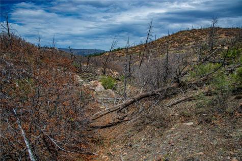 221 Cottonwood Drive Cotopaxi CO 81223