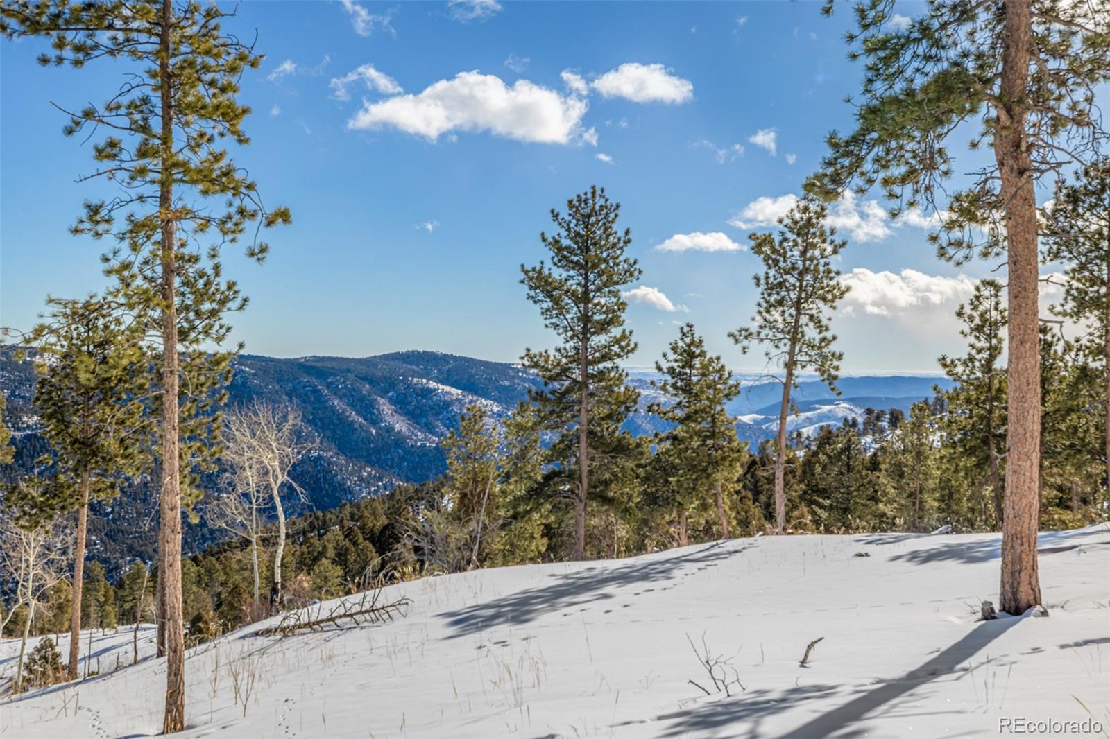 13144 Pine Country Lane Conifer CO 80433