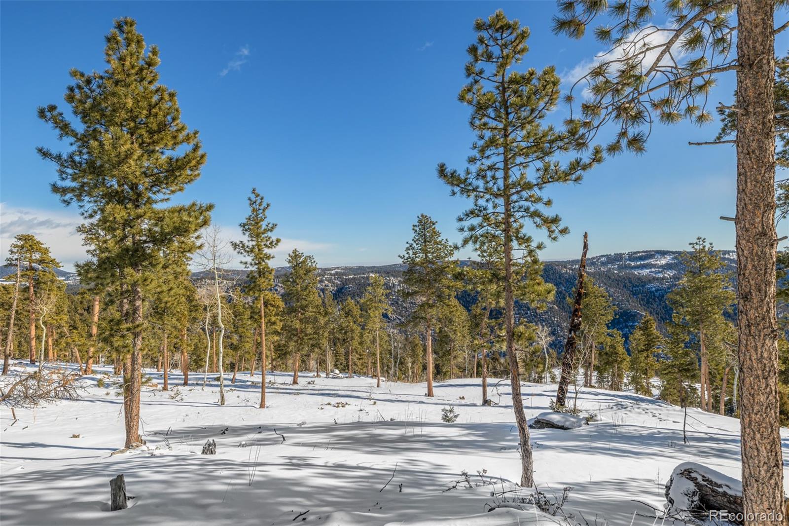 13144 Pine Country Lane Conifer CO 80433