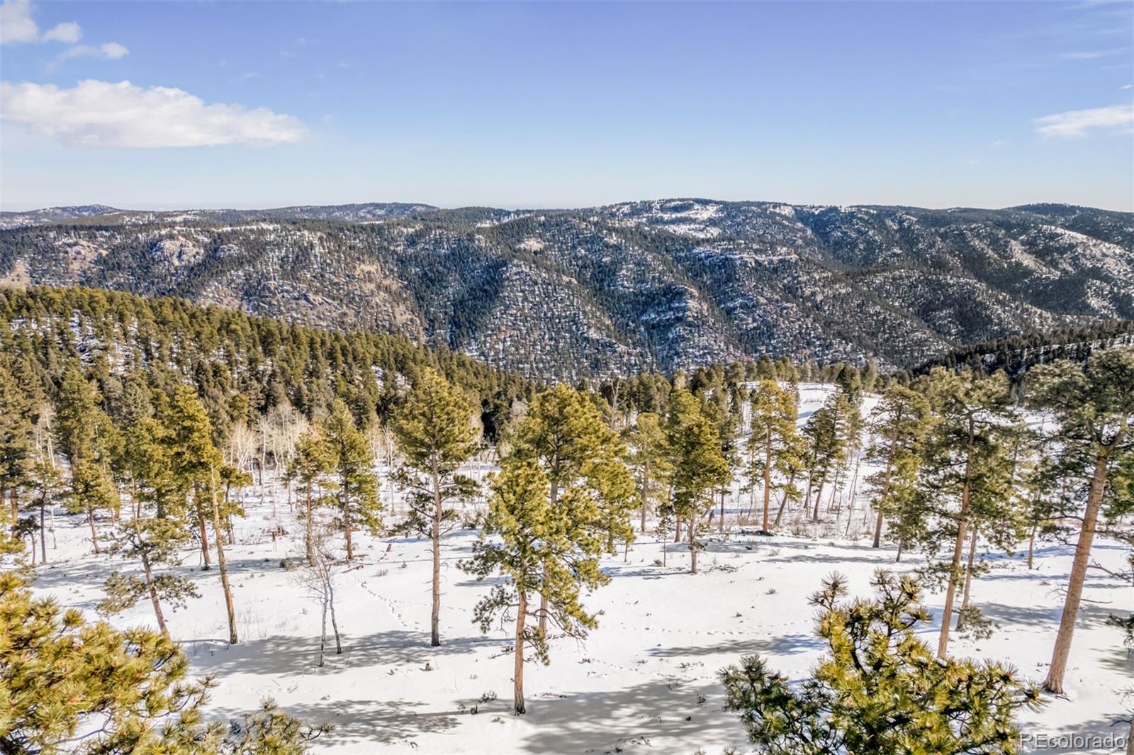 13144 Pine Country Lane Conifer CO 80433