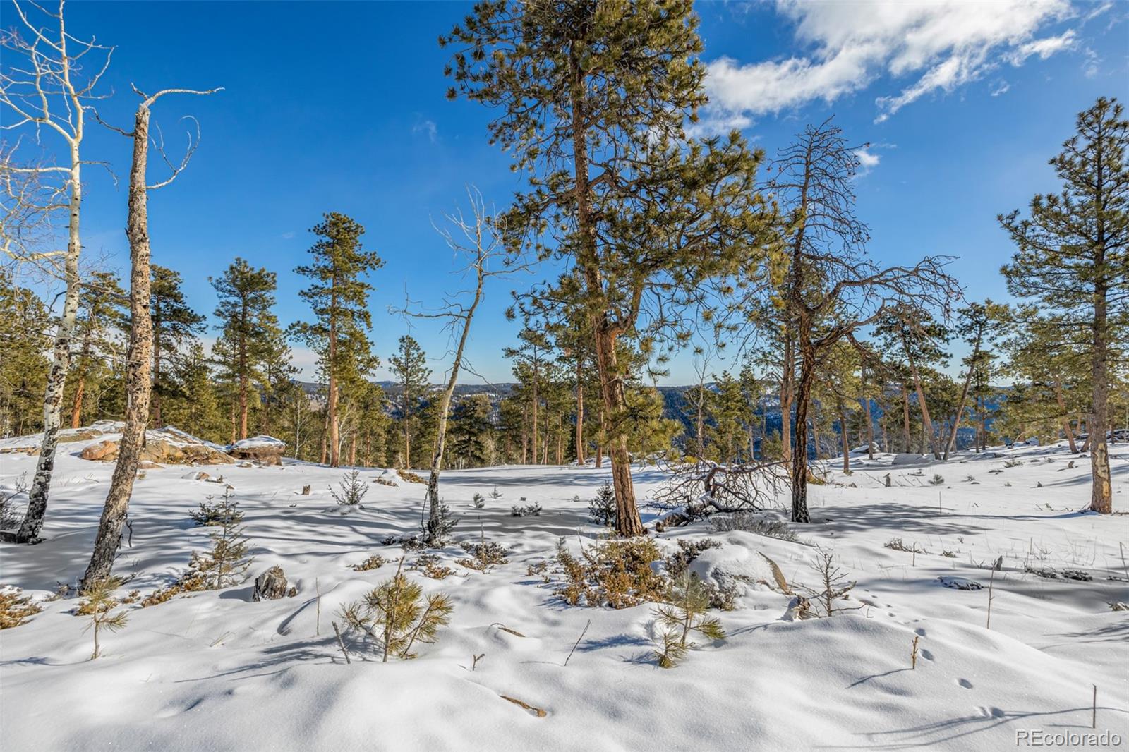 13144 Pine Country Lane Conifer CO 80433
