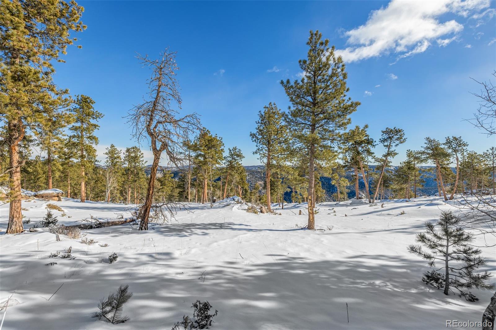 13144 Pine Country Lane Conifer CO 80433