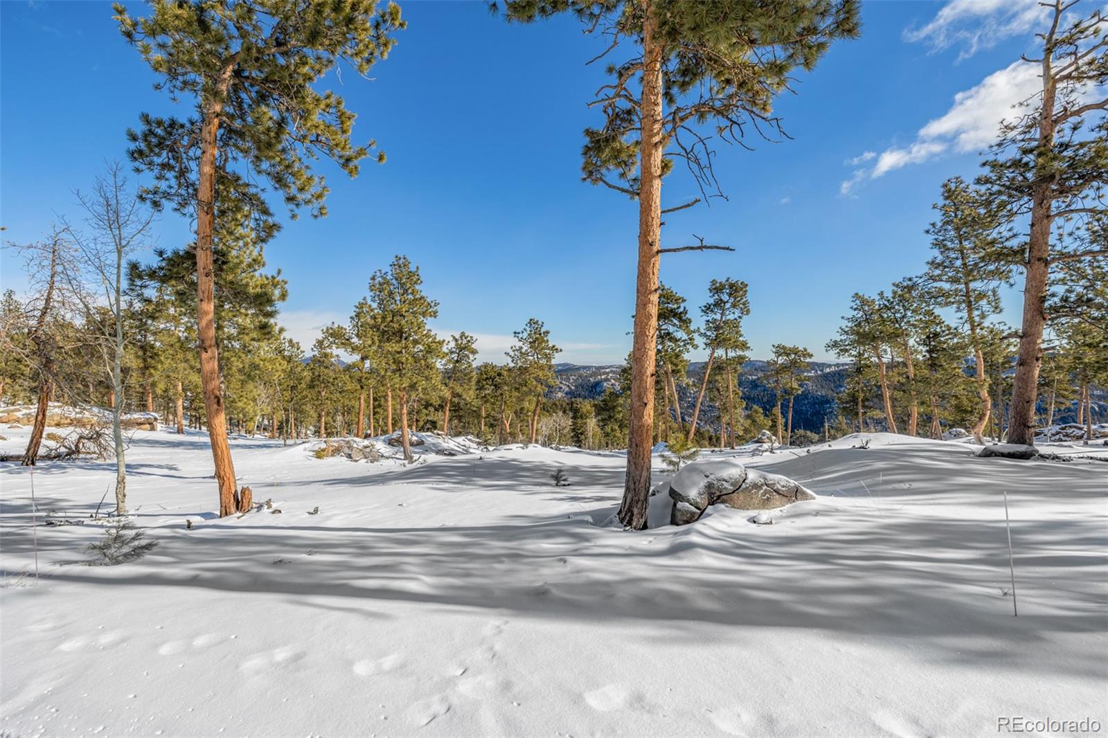 13144 Pine Country Lane Conifer CO 80433