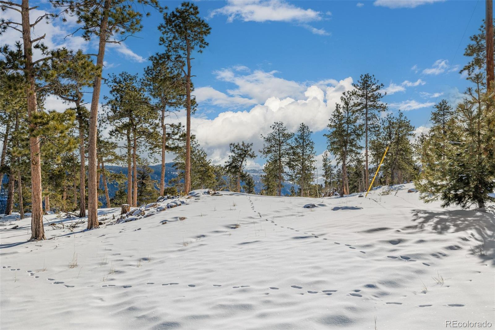 13144 Pine Country Lane Conifer CO 80433