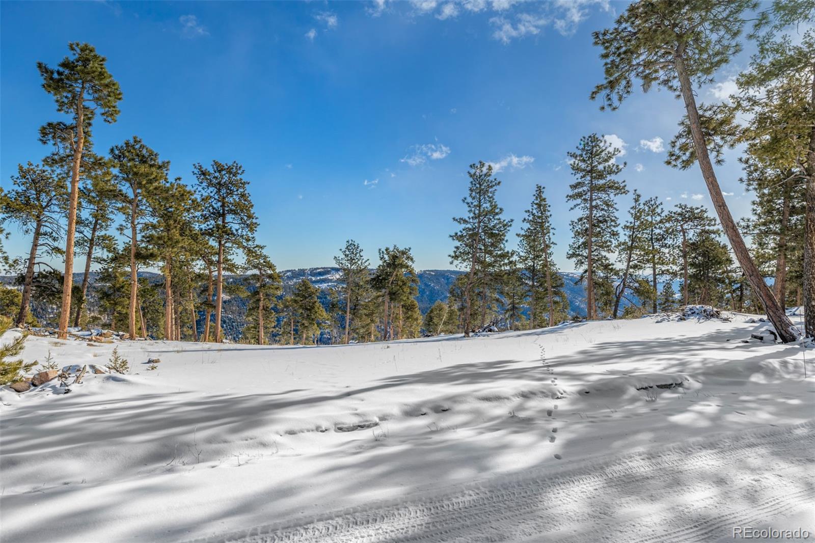 13144 Pine Country Lane Conifer CO 80433