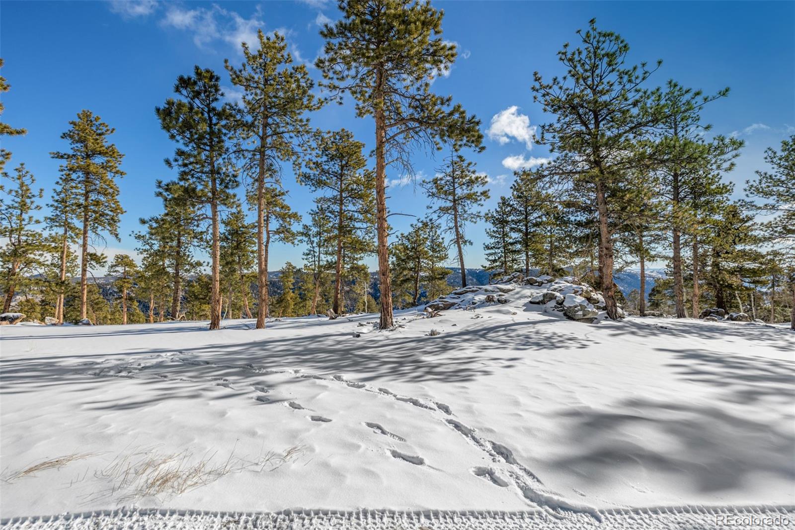 13144 Pine Country Lane Conifer CO 80433