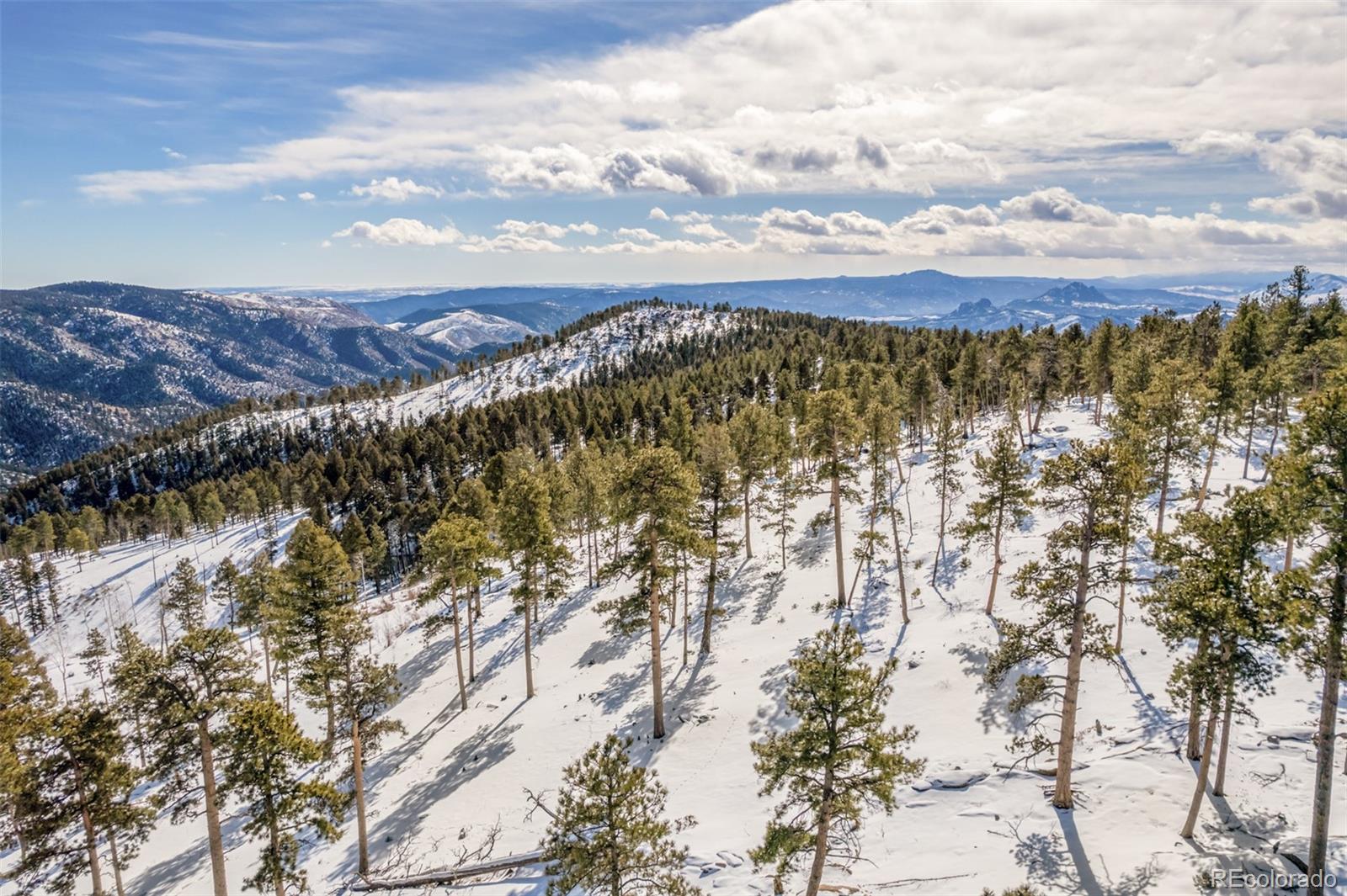 13144 Pine Country Lane Conifer CO 80433