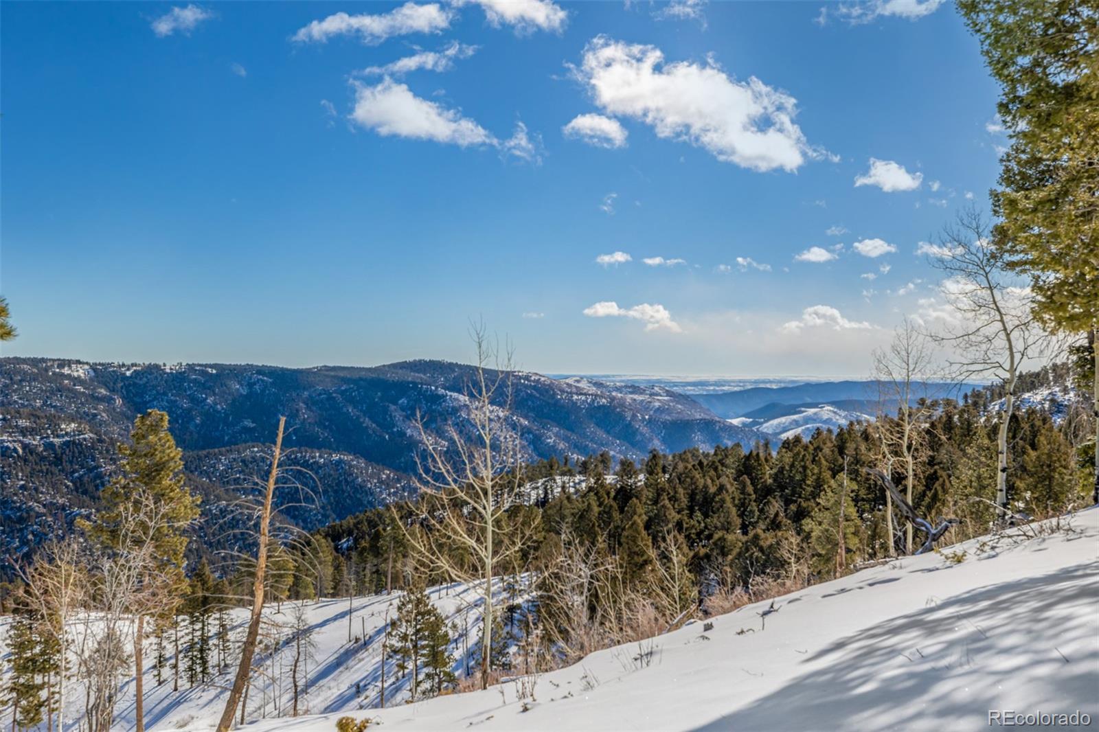 13144 Pine Country Lane Conifer CO 80433