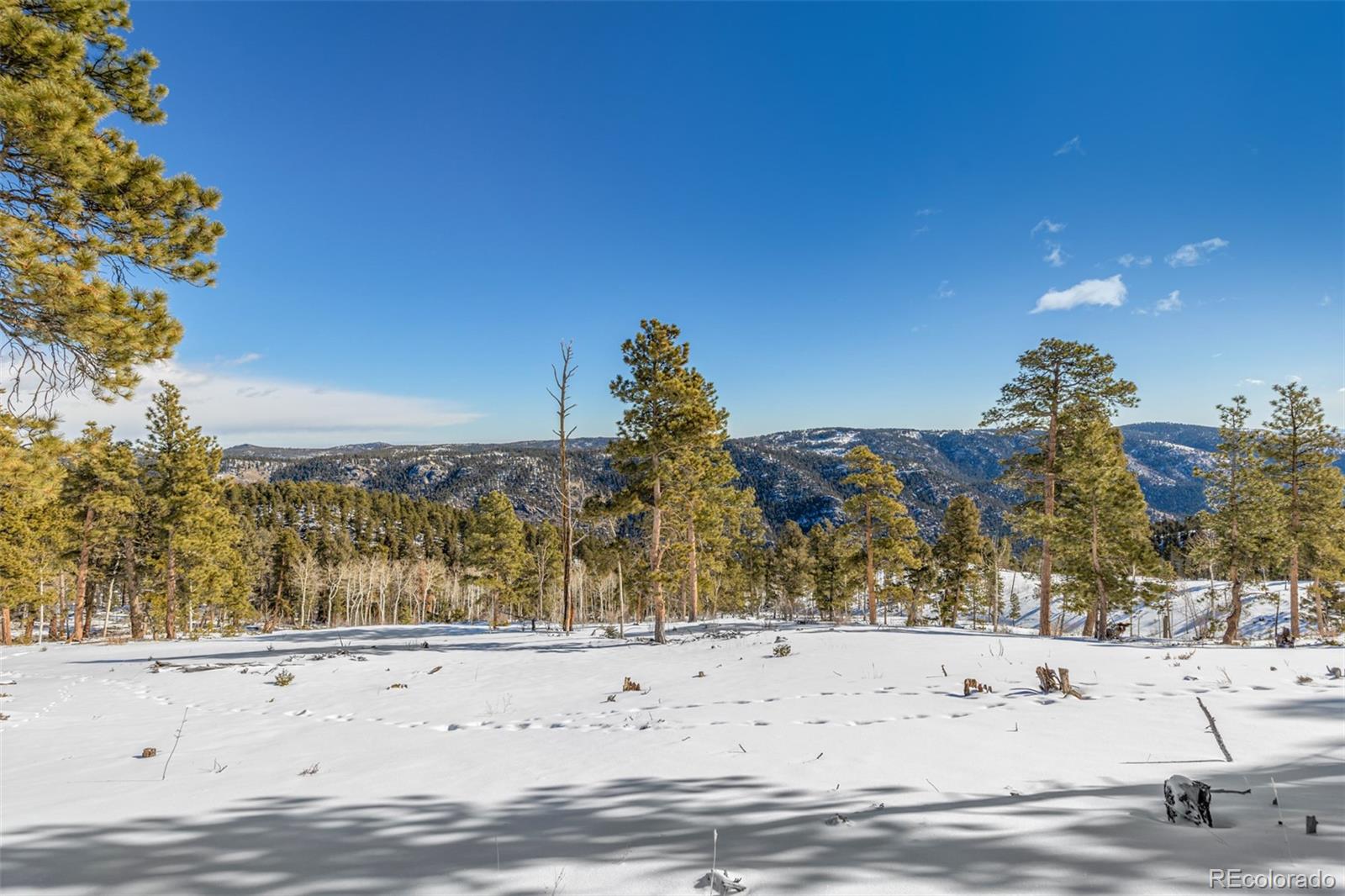 13144 Pine Country Lane Conifer CO 80433