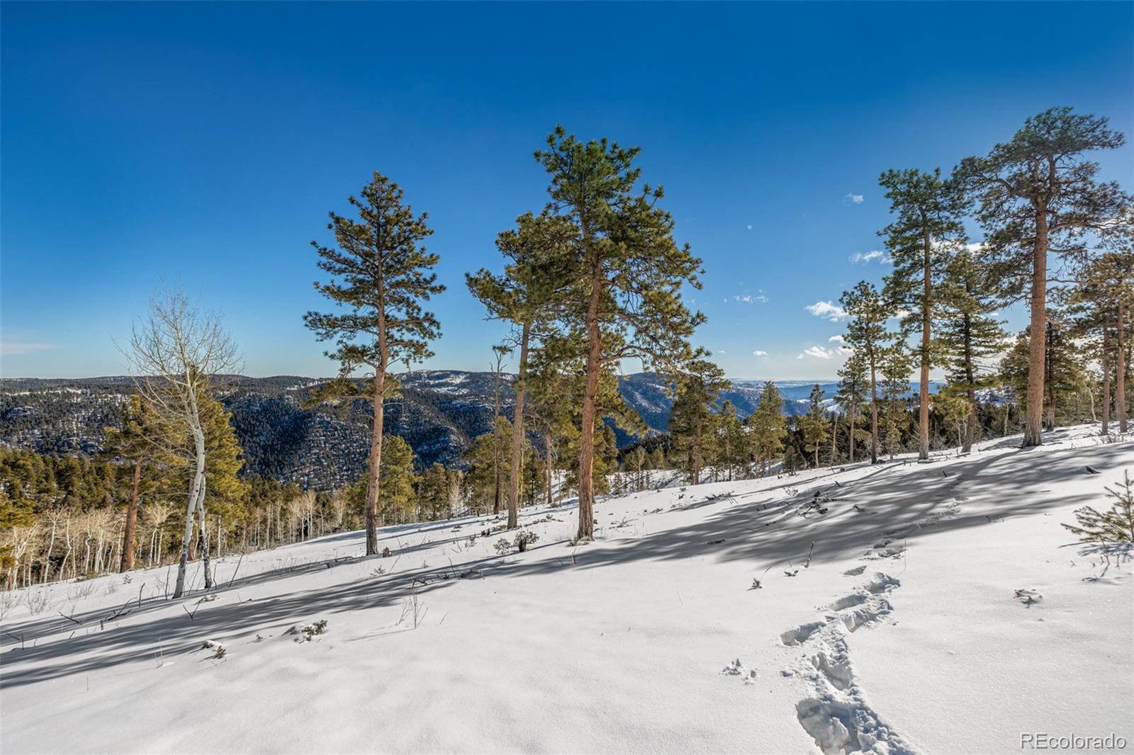 13144 Pine Country Lane Conifer CO 80433