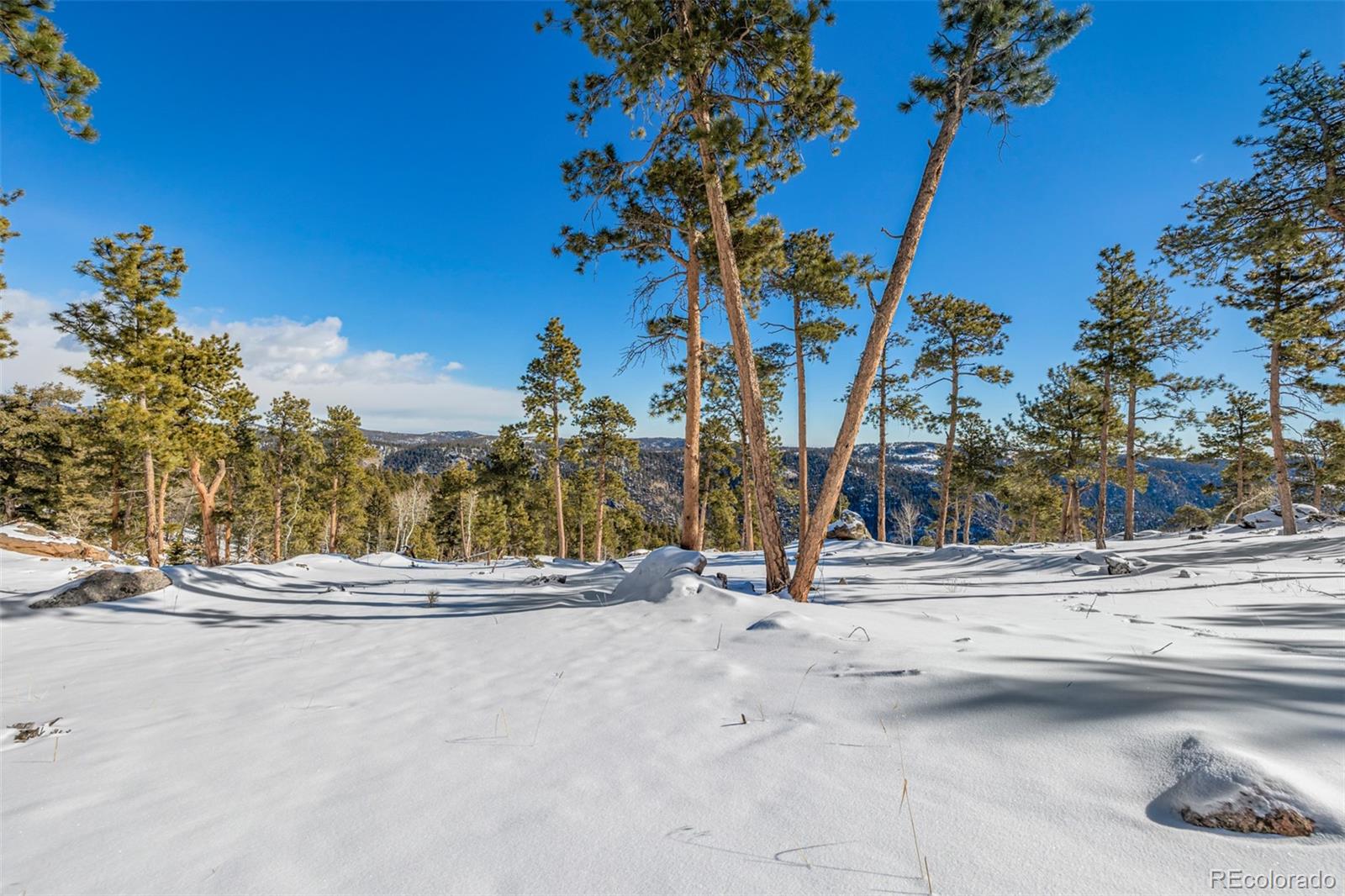 13144 Pine Country Lane Conifer CO 80433