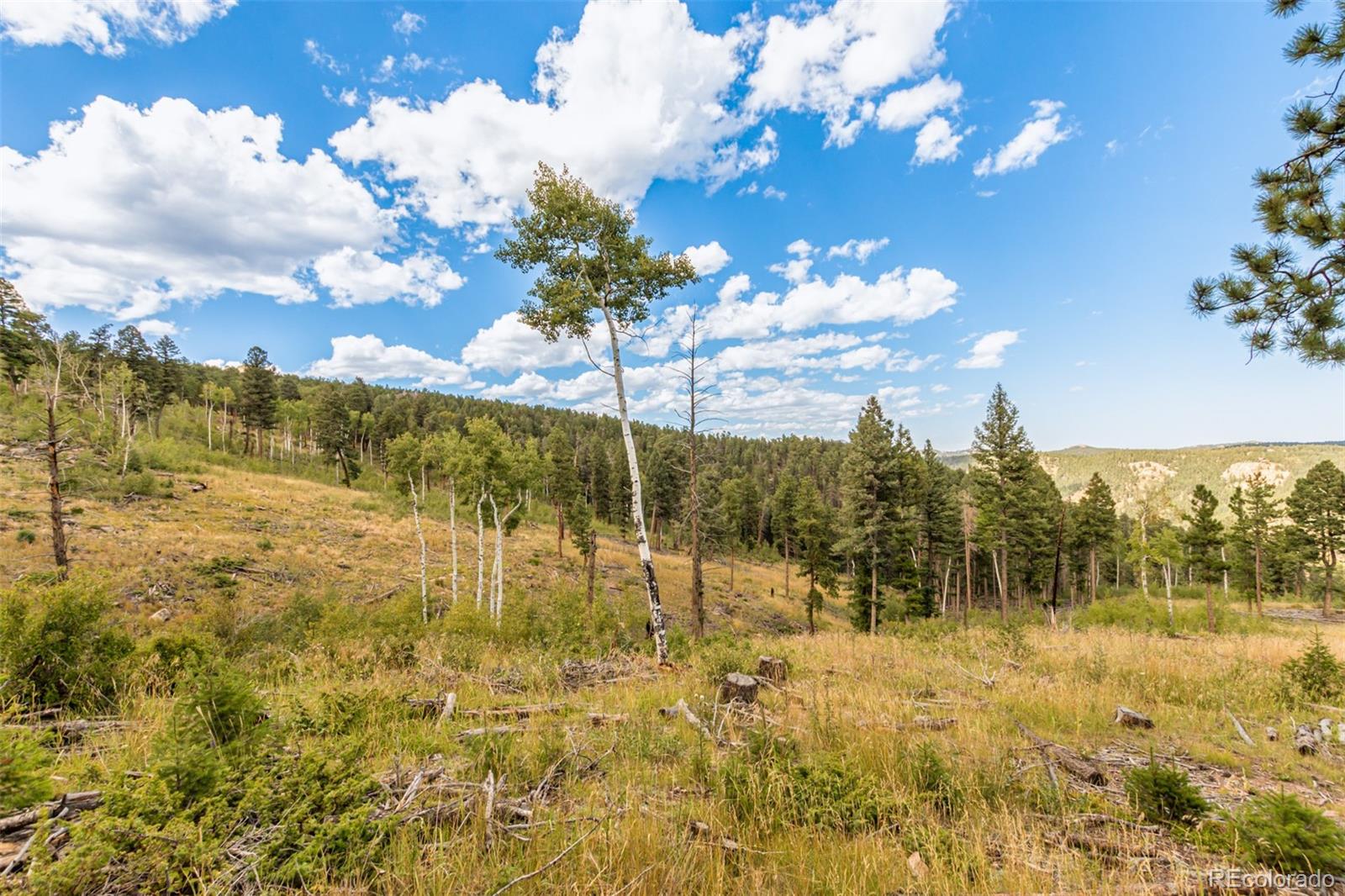 13144 Pine Country Lane Conifer CO 80433