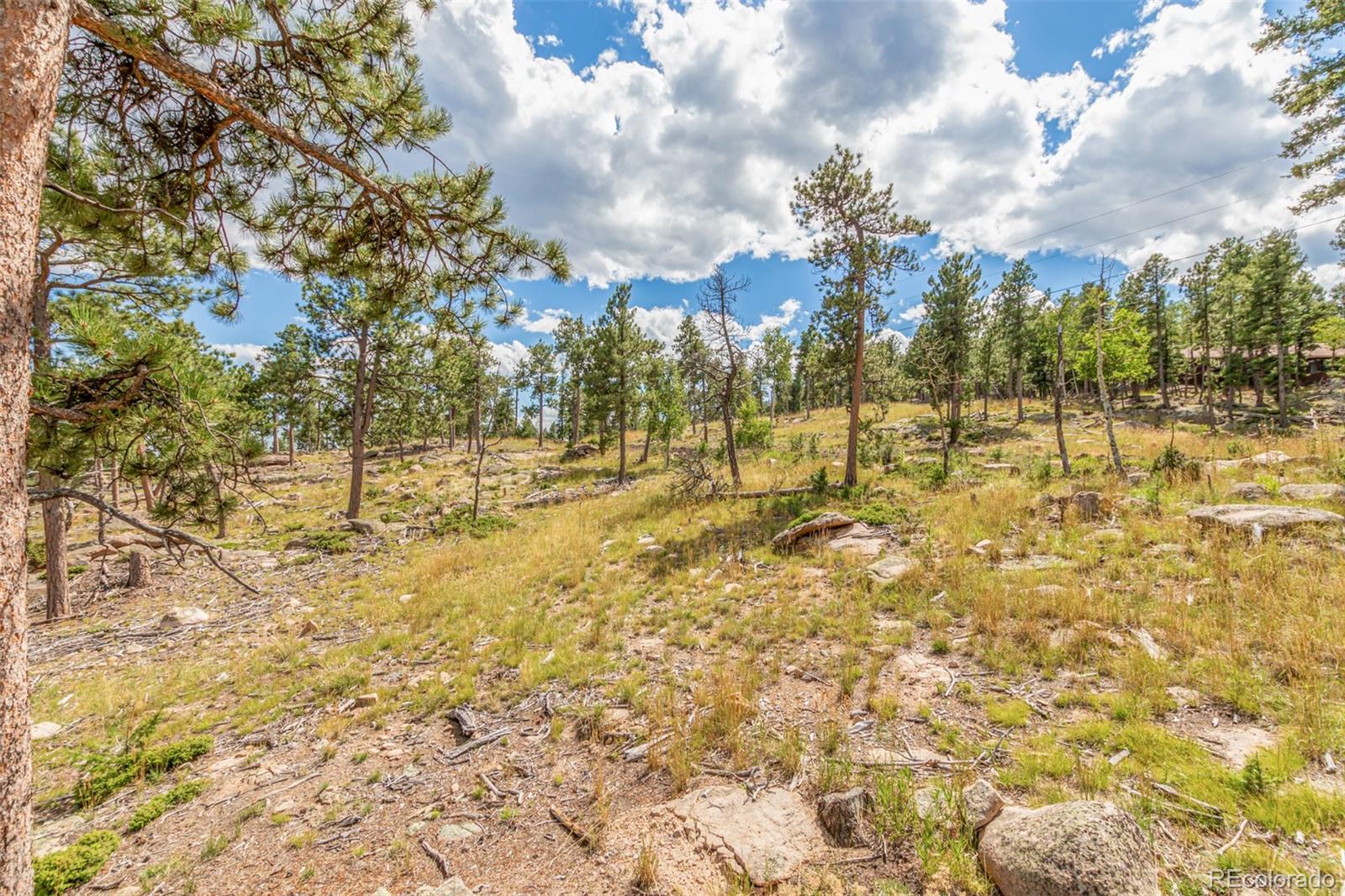 13144 Pine Country Lane Conifer CO 80433