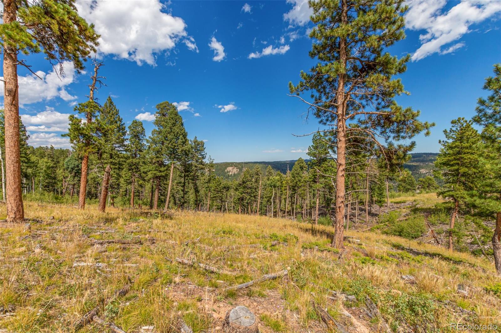 13144 Pine Country Lane Conifer CO 80433