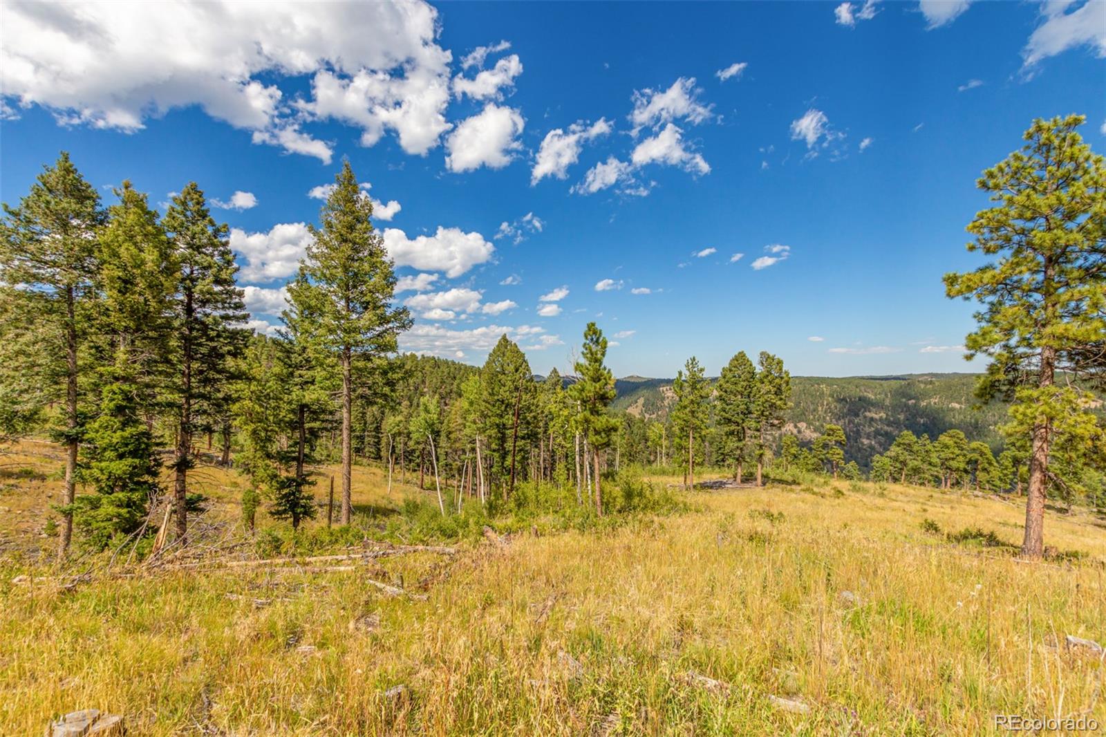 13144 Pine Country Lane Conifer CO 80433