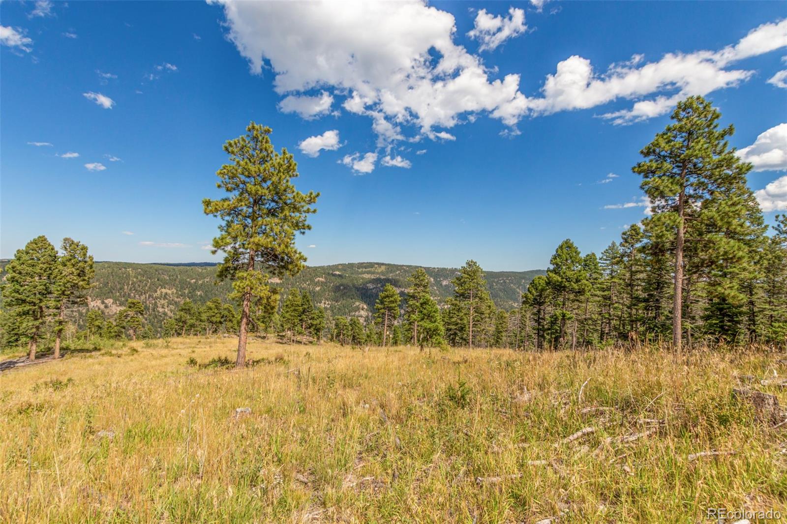 13144 Pine Country Lane Conifer CO 80433