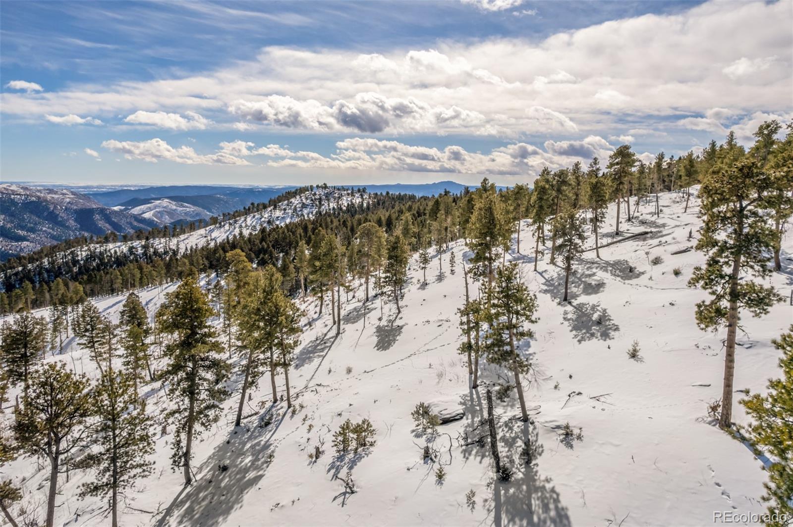13144 Pine Country Lane Conifer CO 80433