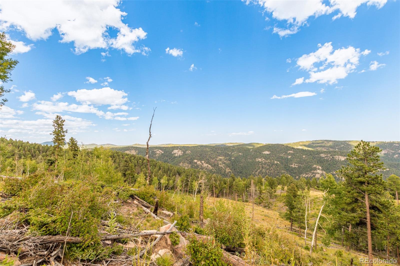13144 Pine Country Lane Conifer CO 80433