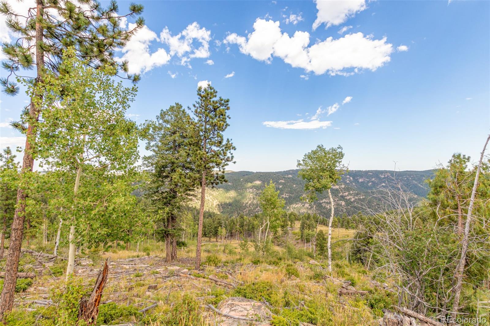 13144 Pine Country Lane Conifer CO 80433