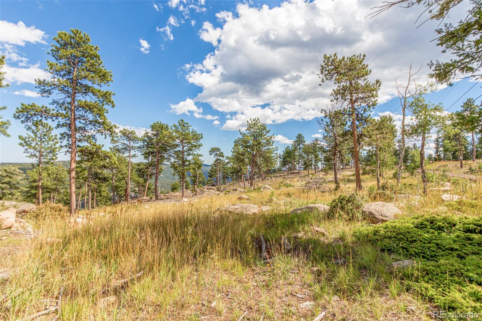 13144 Pine Country Lane Conifer CO 80433