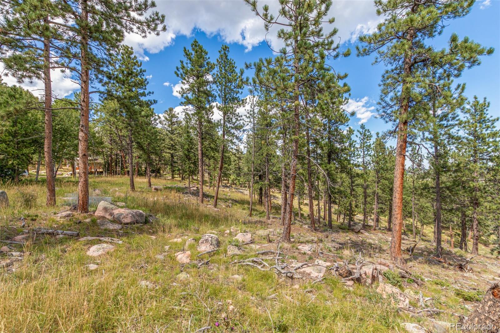 13144 Pine Country Lane Conifer CO 80433