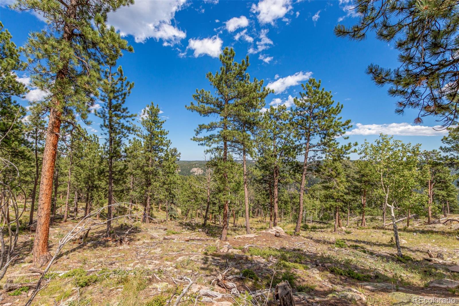 13144 Pine Country Lane Conifer CO 80433